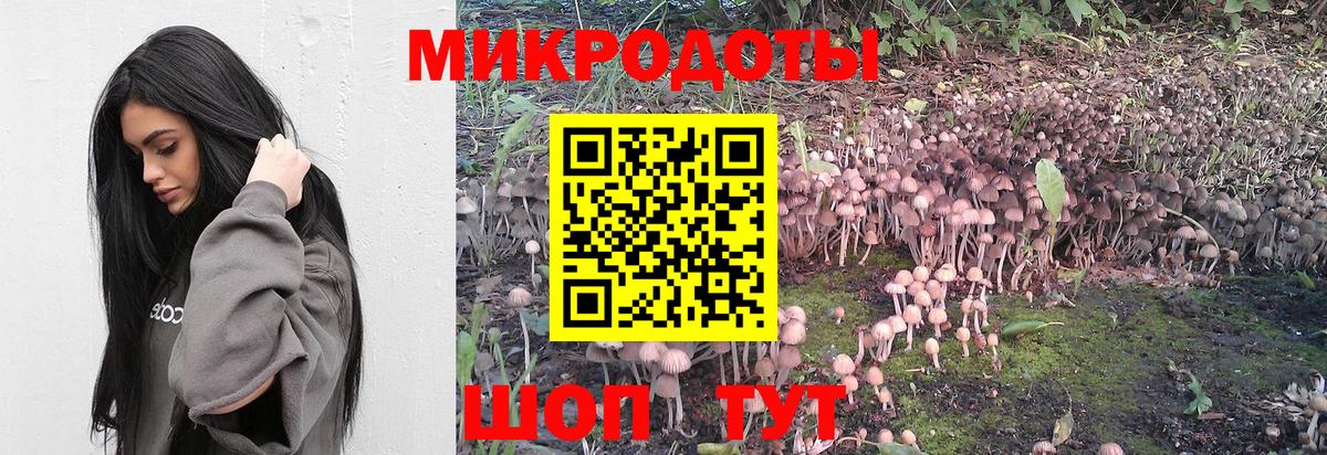 Галлюциногенные грибы Psilocybe Борисоглебск