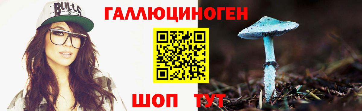 Псилоцибиновые грибы Psilocybine cubensis  купить   Борисоглебск 